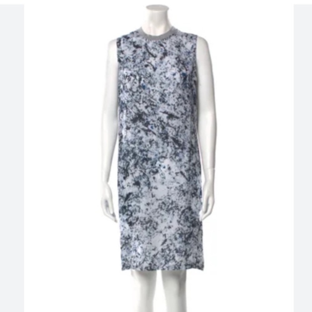 Alexander McQueen Slip Shift Dress